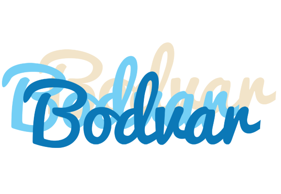 Bodvar breeze logo