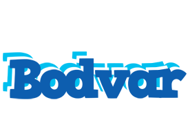 Bodvar business logo