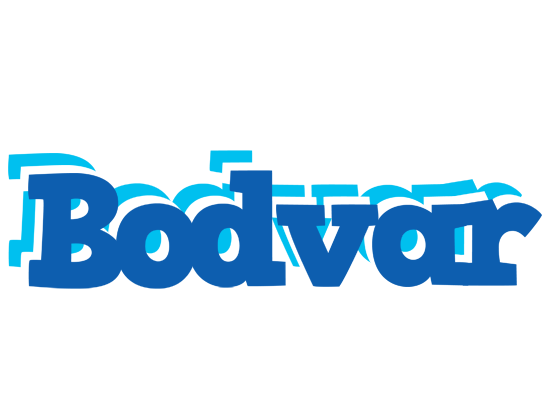 Bodvar business logo