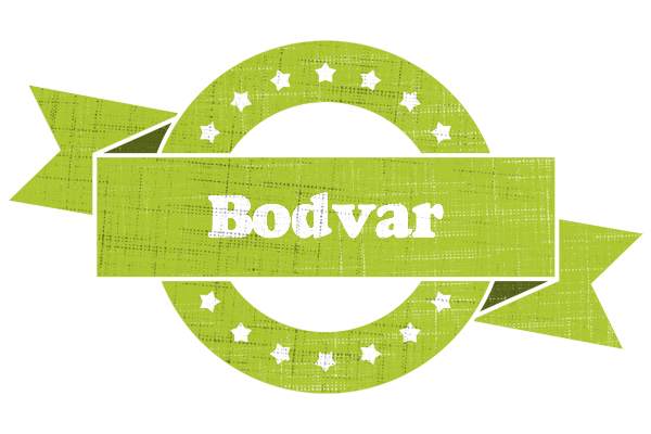 Bodvar change logo