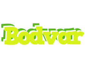 Bodvar citrus logo