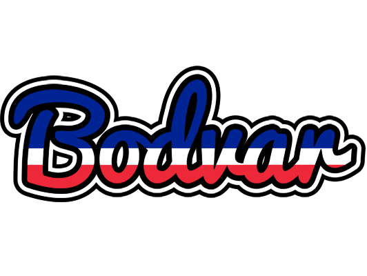 Bodvar france logo