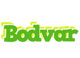 Bodvar picnic logo