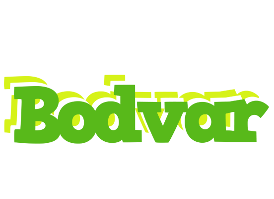 Bodvar picnic logo