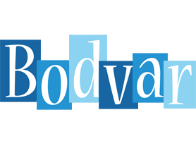 Bodvar winter logo