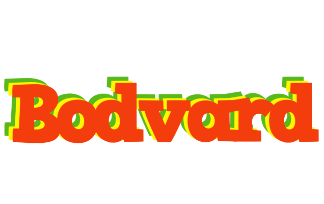 Bodvard bbq logo