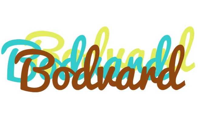 Bodvard cupcake logo