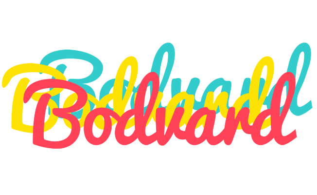 Bodvard disco logo