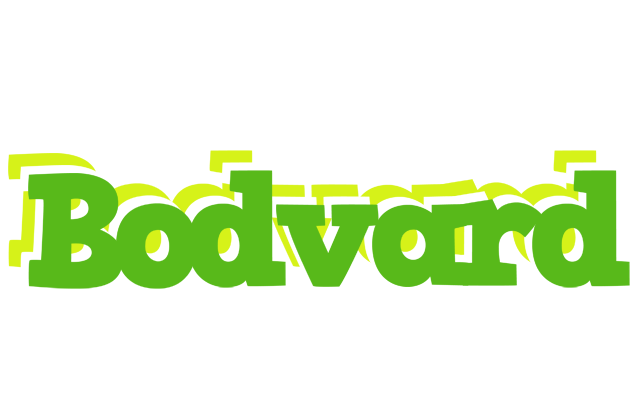 Bodvard picnic logo