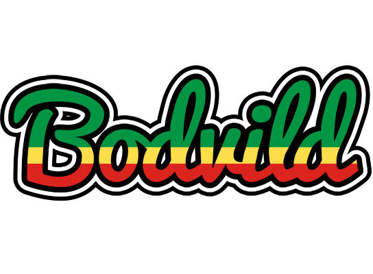 Bodvild african logo