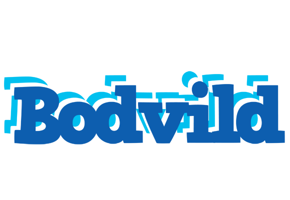 Bodvild business logo