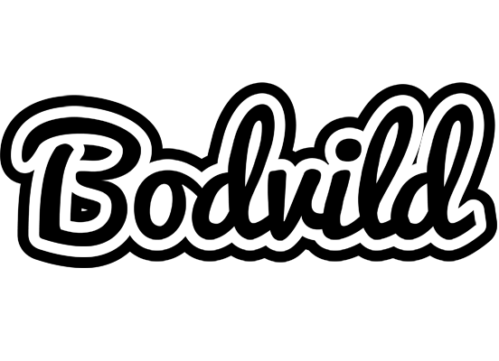 Bodvild chess logo