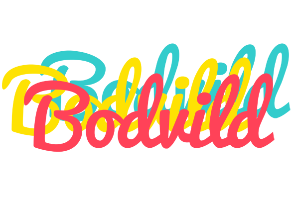 Bodvild disco logo