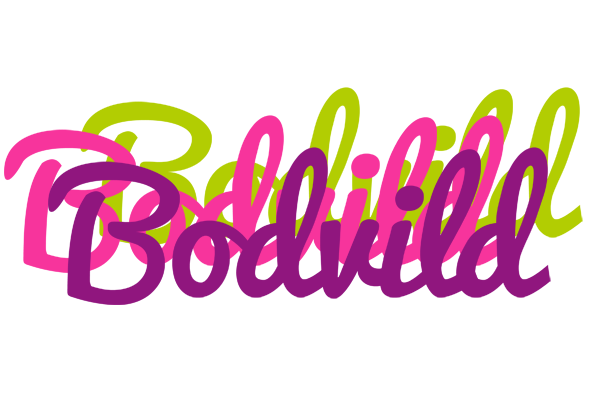 Bodvild flowers logo