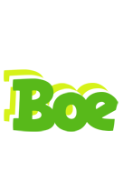 Boe picnic logo