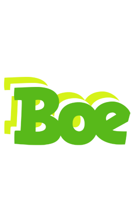 Boe picnic logo