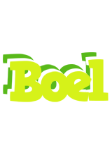 Boel citrus logo