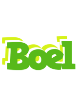 Boel picnic logo