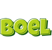 Boel summer logo