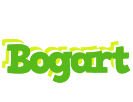 Bogart picnic logo