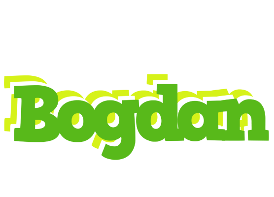 Bogdan picnic logo