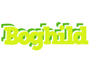 Boghild citrus logo