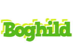 Boghild picnic logo