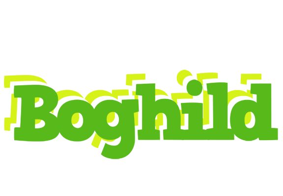 Boghild picnic logo
