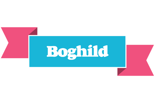 Boghild today logo