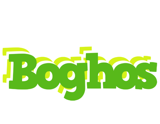 Boghos picnic logo