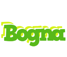 Bogna picnic logo