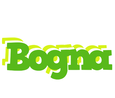 Bogna picnic logo
