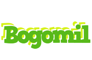 Bogomil picnic logo