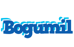 Bogumil business logo