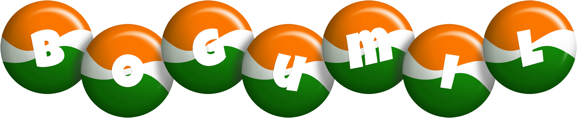 Bogumil india logo