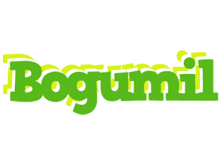 Bogumil picnic logo