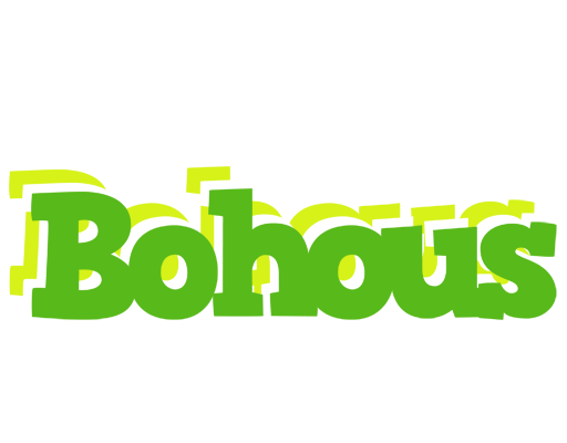 Bohous picnic logo