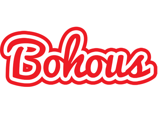 Bohous sunshine logo