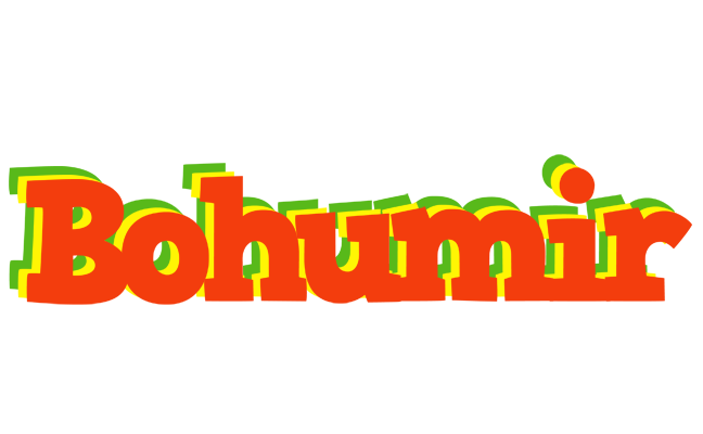 Bohumir bbq logo