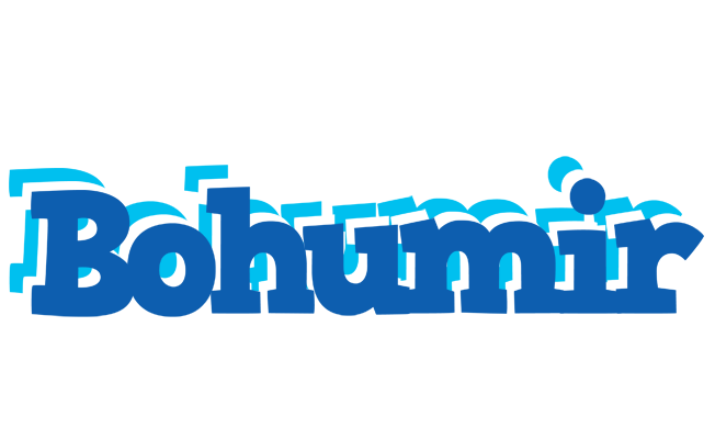 Bohumir business logo