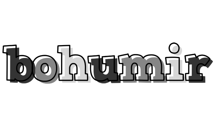Bohumir night logo