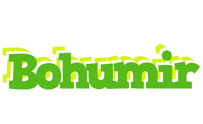 Bohumir picnic logo