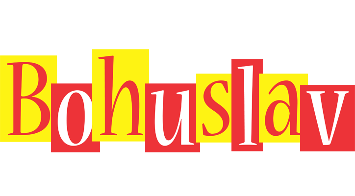 Bohuslav errors logo