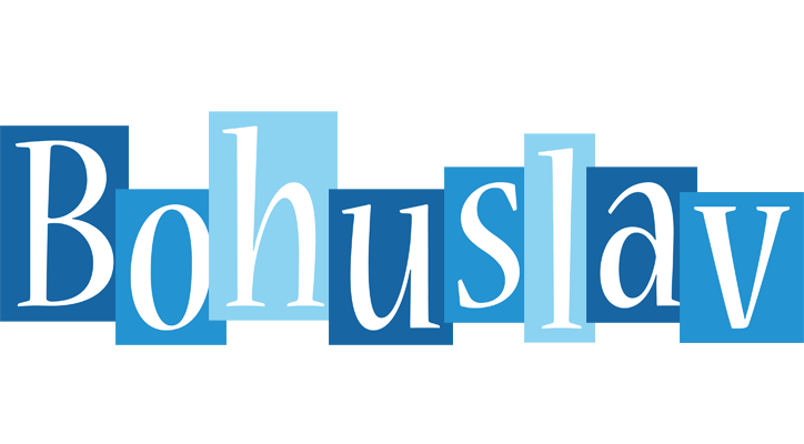 Bohuslav winter logo
