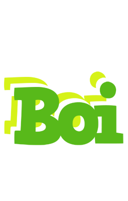 Boi picnic logo