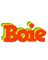 Boie bbq logo