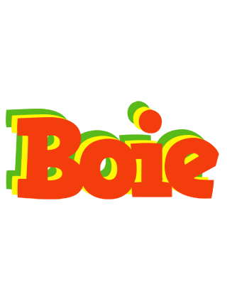 Boie bbq logo