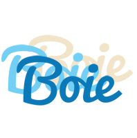 Boie breeze logo