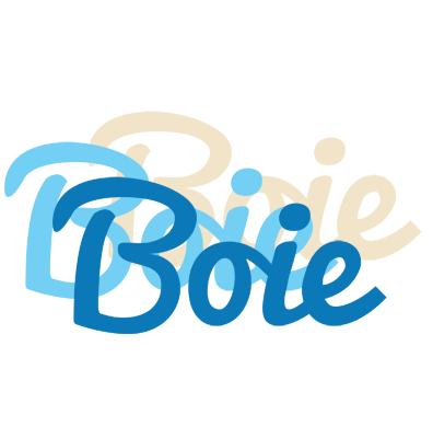 Boie breeze logo