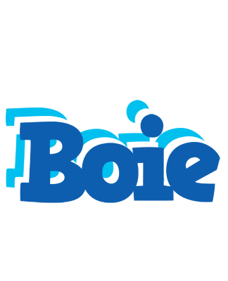 Boie business logo